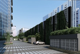Jogging & Cycle Track